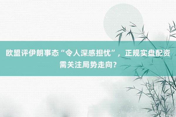 欧盟评伊朗事态“令人深感担忧”，正规实盘配资需关注局势走向？