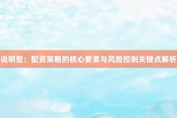 说明型：配资策略的核心要素与风险控制关键点解析