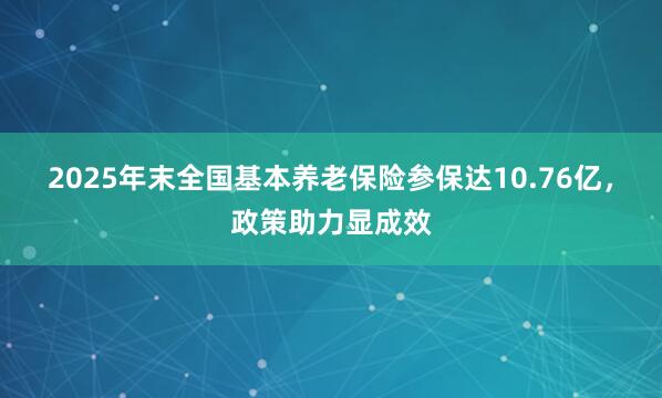 2025年末全国基本养老保险参保达10.76亿，政策助力显成效