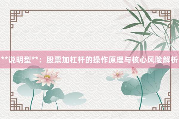 **说明型**：股票加杠杆的操作原理与核心风险解析