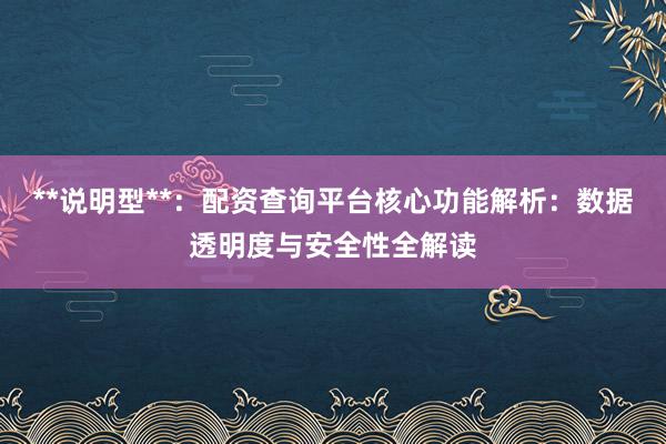 **说明型**：配资查询平台核心功能解析：数据透明度与安全性全解读