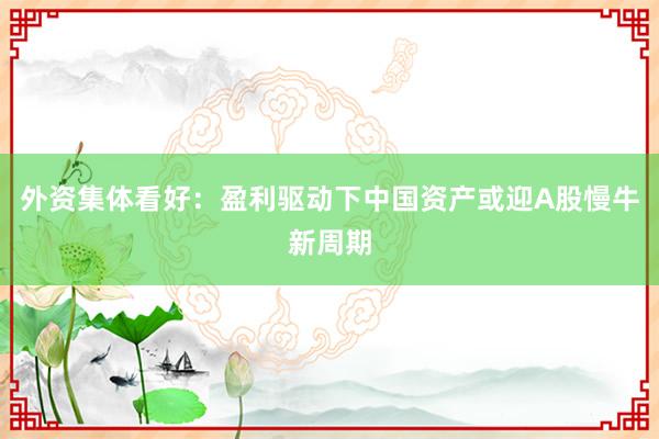 外资集体看好：盈利驱动下中国资产或迎A股慢牛新周期