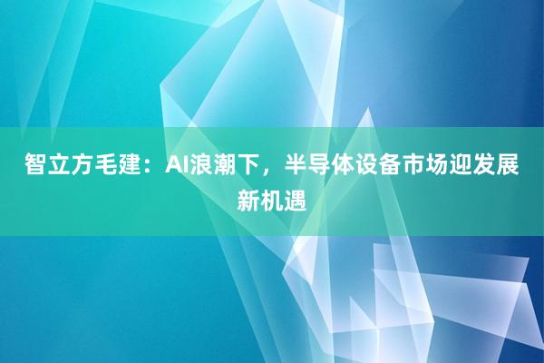 智立方毛建：AI浪潮下，半导体设备市场迎发展新机遇