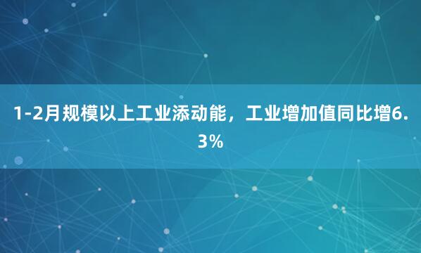 1-2月规模以上工业添动能,工业增加值同比增6.3%