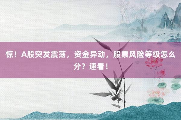 惊！A股突发震荡，资金异动，股票风险等级怎么分？速看！