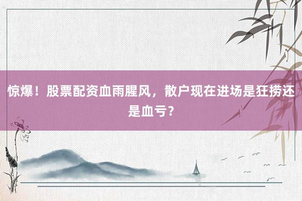 惊爆！股票配资血雨腥风，散户现在进场是狂捞还是血亏？