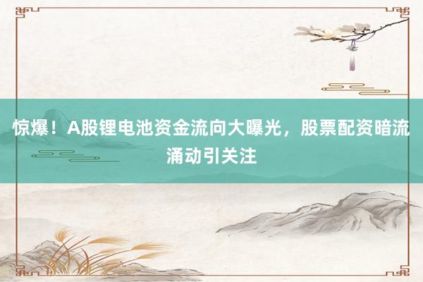 惊爆!A股锂电池资金流向大曝光,股票配资暗流涌动引关注