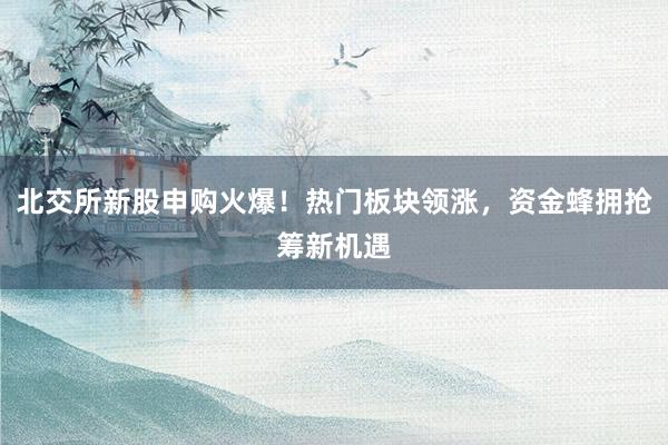 北交所新股申购火爆！热门板块领涨，资金蜂拥抢筹新机遇