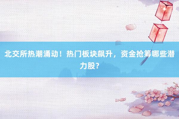 北交所热潮涌动！热门板块飙升，资金抢筹哪些潜力股？