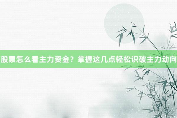 股票怎么看主力资金？掌握这几点轻松识破主力动向